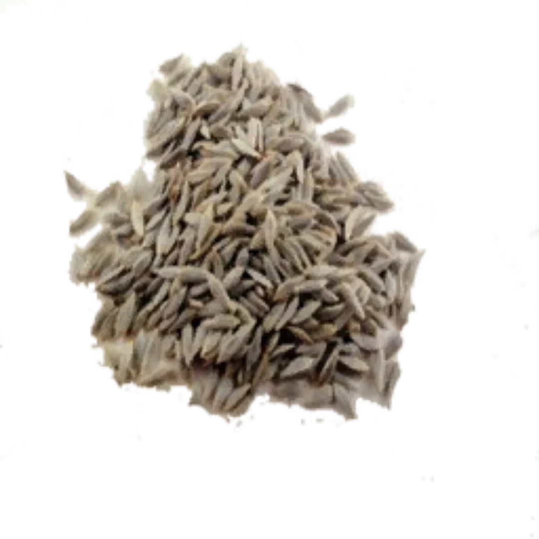 Organic, Non-Hybrid, Non-GMO, Open-Pollinated Green Lettuce Seeds