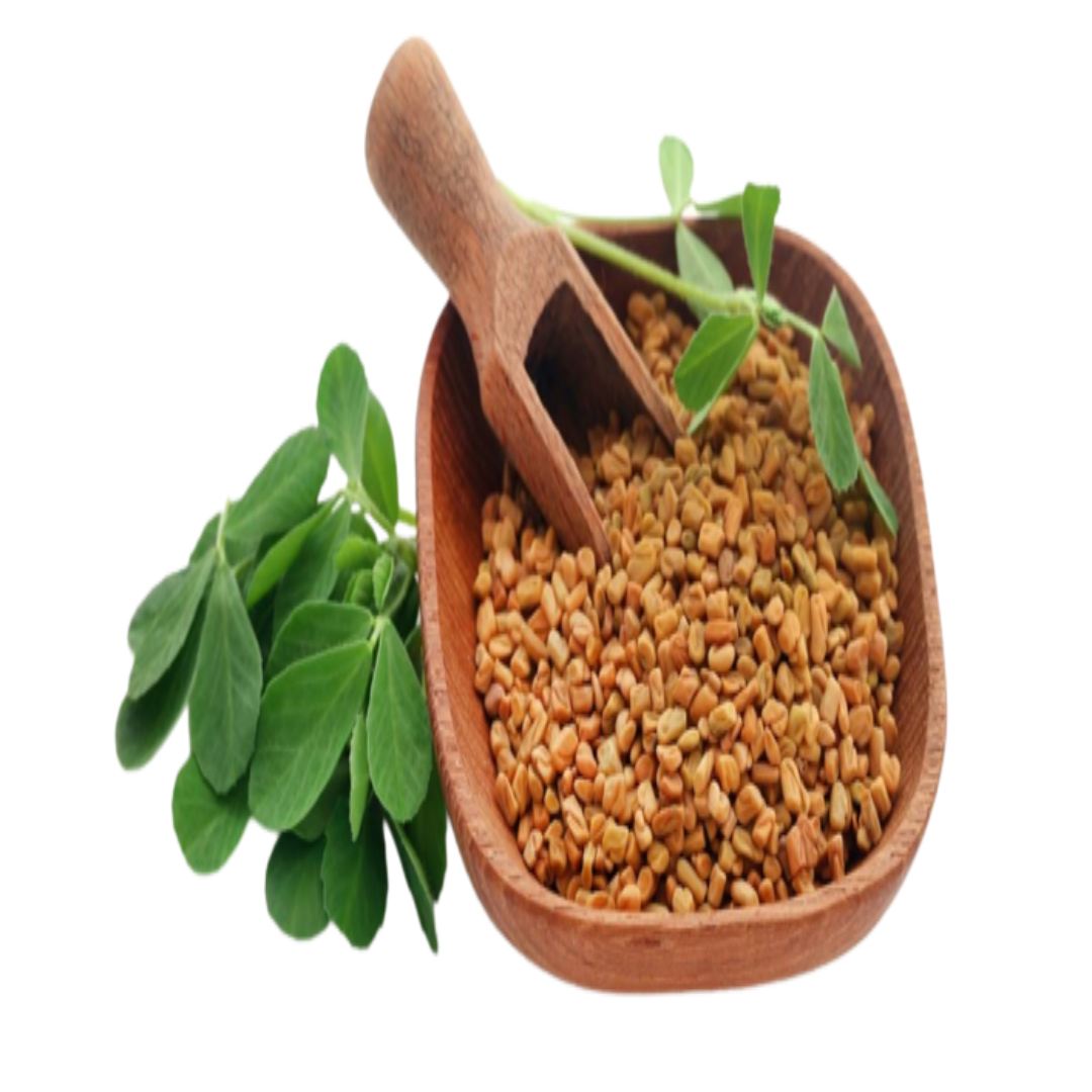 Fenugreek Infused Carrier Oil (Cosmetic Grade)