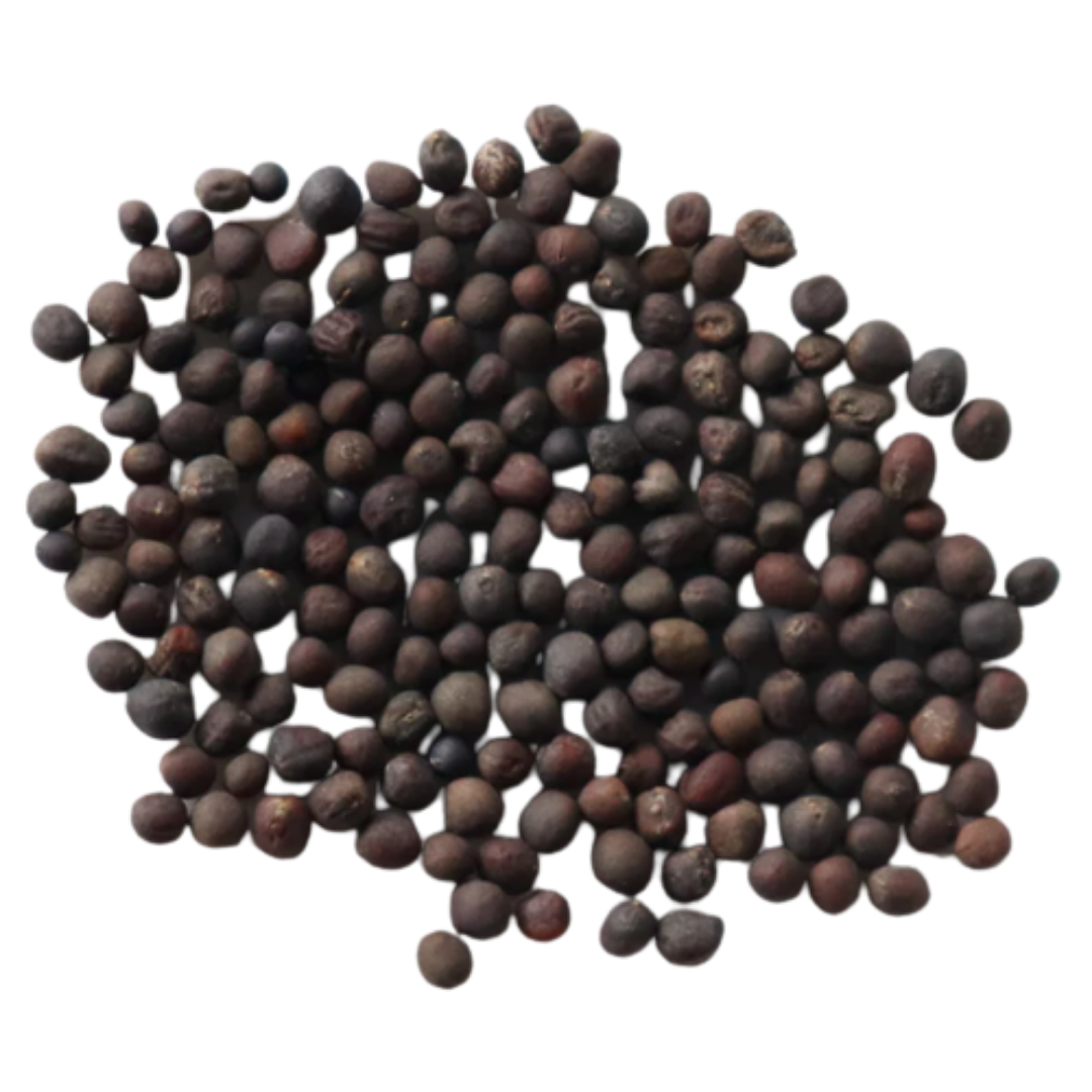 Organic, Non-Hybrid, Non-GMO, Open-Pollinated Knol Knol Seeds