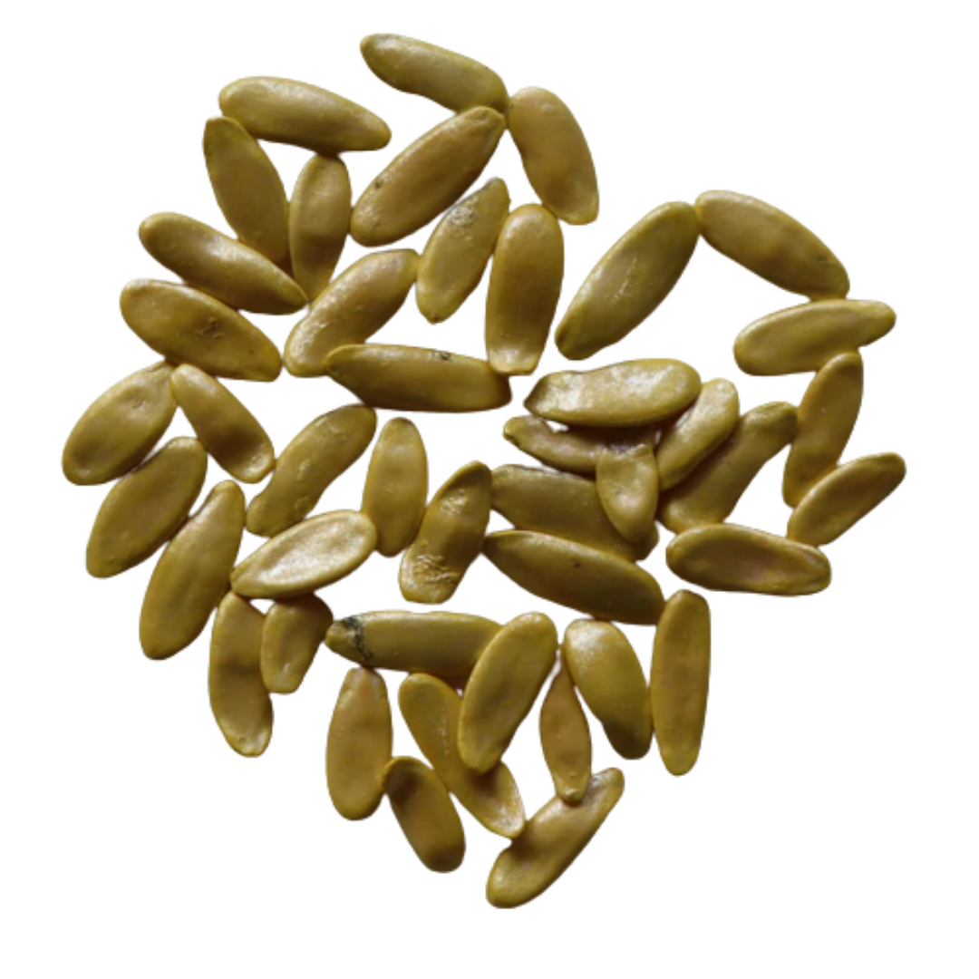 Organic, Non-Hybrid, Non-GMO, Open-Pollinated Long Melon Seeds