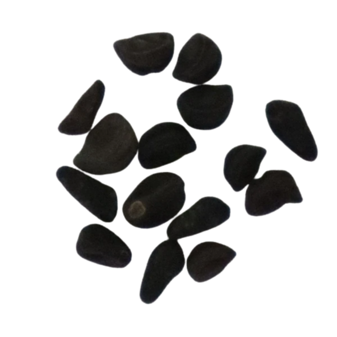 Organic, Non-Hybrid, Non-GMO, Open-Pollinated Morning Glory Loomea Mix Seeds