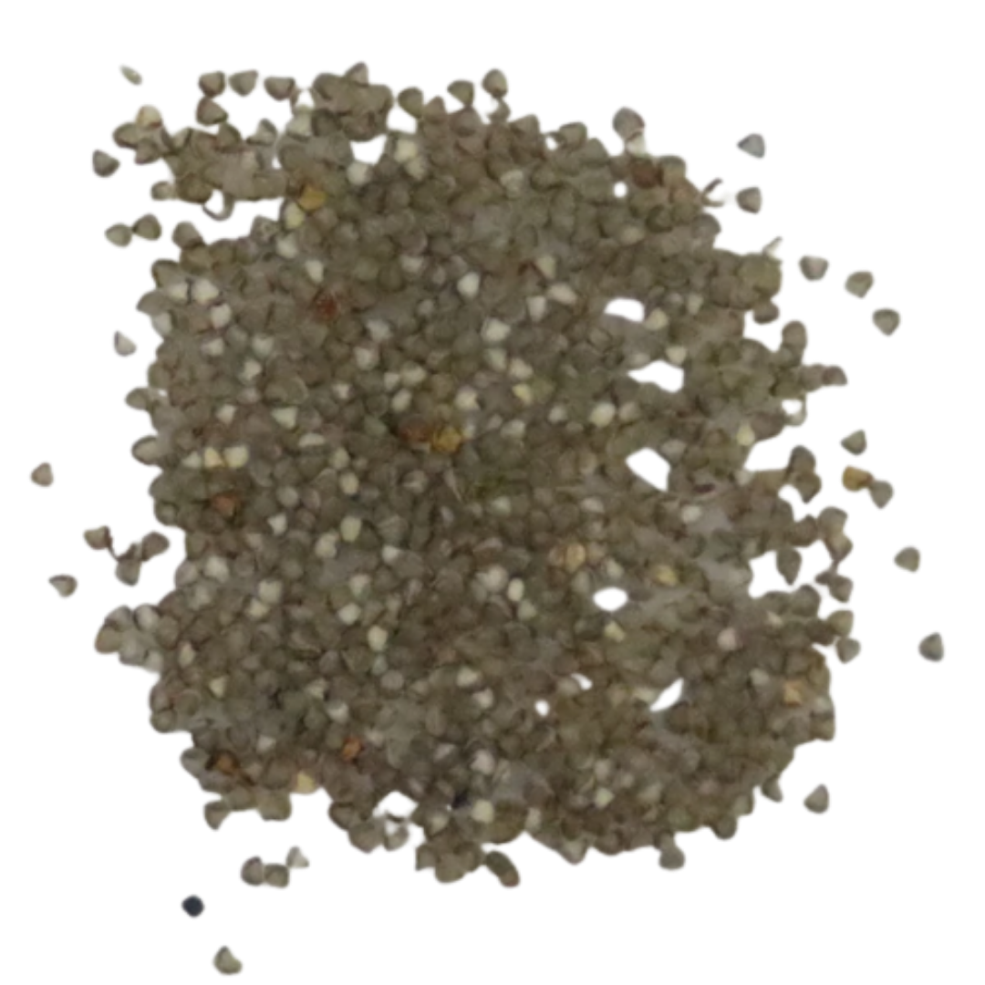 Organic, Non-Hybrid, Non-GMO, Open-Pollinated Mesembryanthemum Crinflorum Seeds