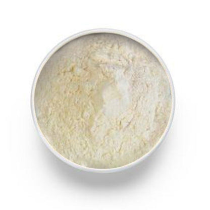 aloe vera powder 200x