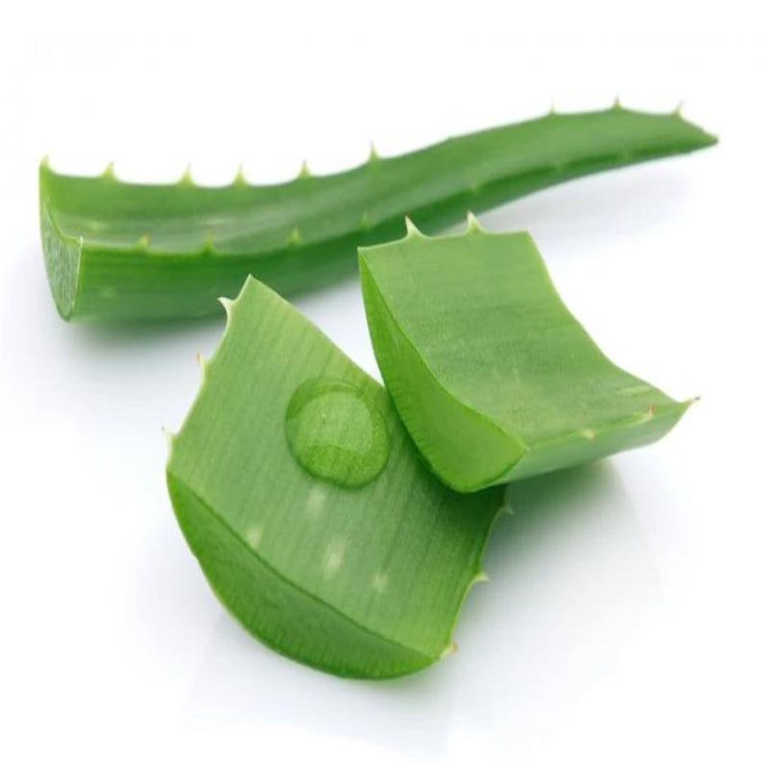 Buy Aloevera Extract / Aloevera Juice Online in India - The Art Connect