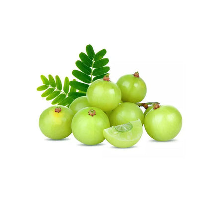 Buy Amla Extract Online in India - The Art Connect