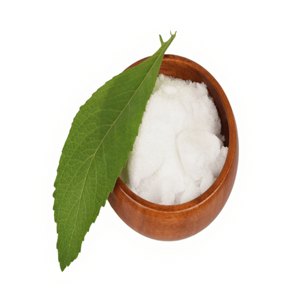 Buy Camphor Hydrosol Online in India - The Art Connect