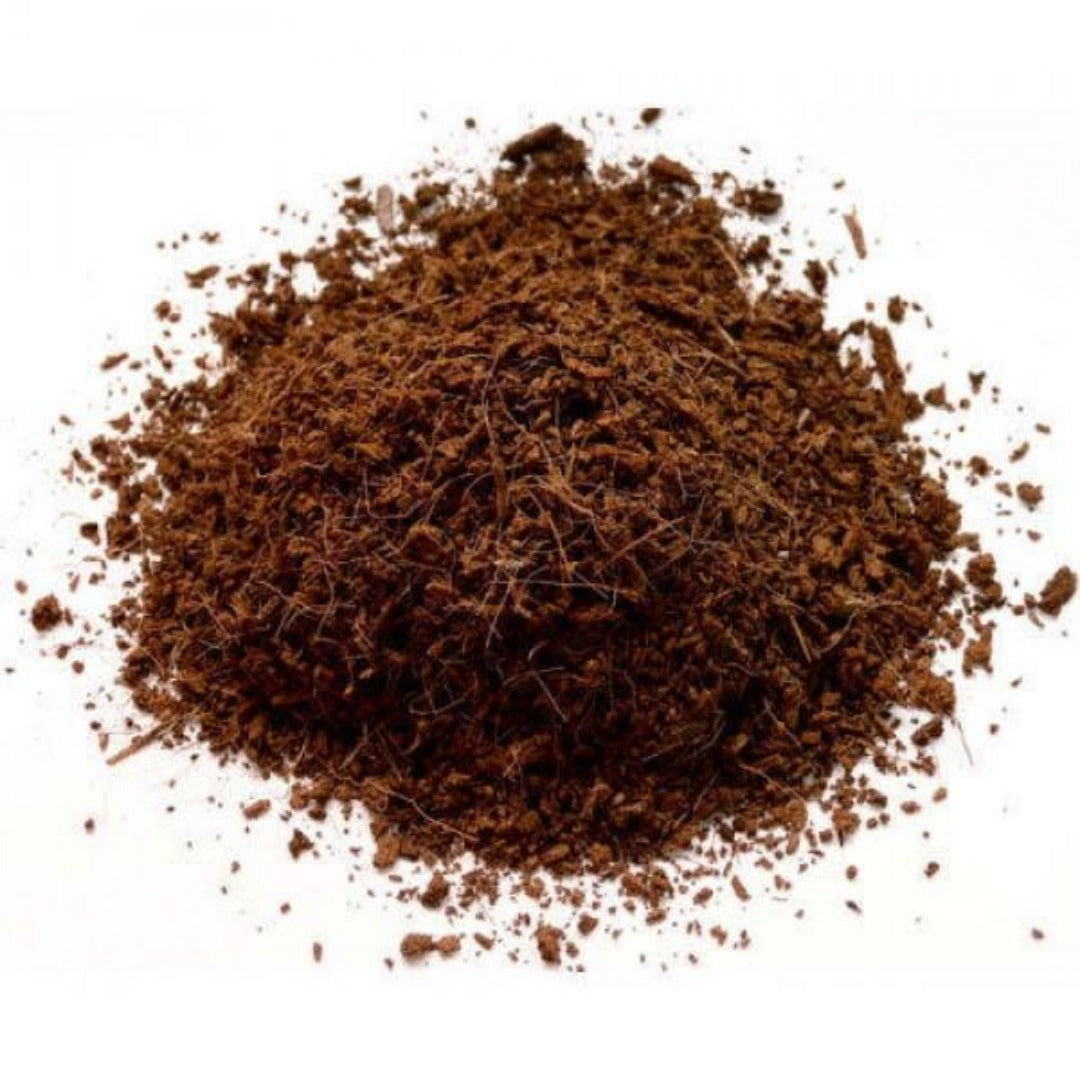 Coco Peat Powder