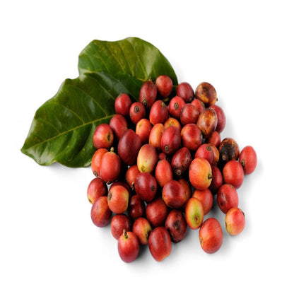 Buy Coffee Essential Oil Online in India - The Art Connect