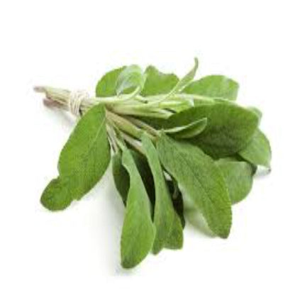 Buy Sage Essential Oil Online in India - The Art Connect