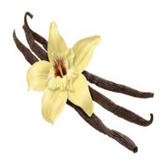 Buy Vanilla Essential Oil Online in India - The Art Connect