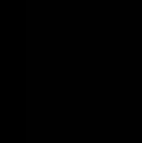 Black PN Colour / Dye (Cosmetic Grade, Water-Soluble, Powder Form) (gm)