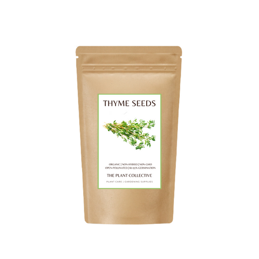 Thyme Seeds