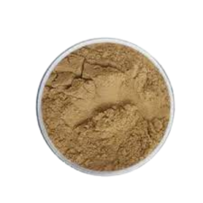 Papaya Powder Extract (Cosmetic Grade)\