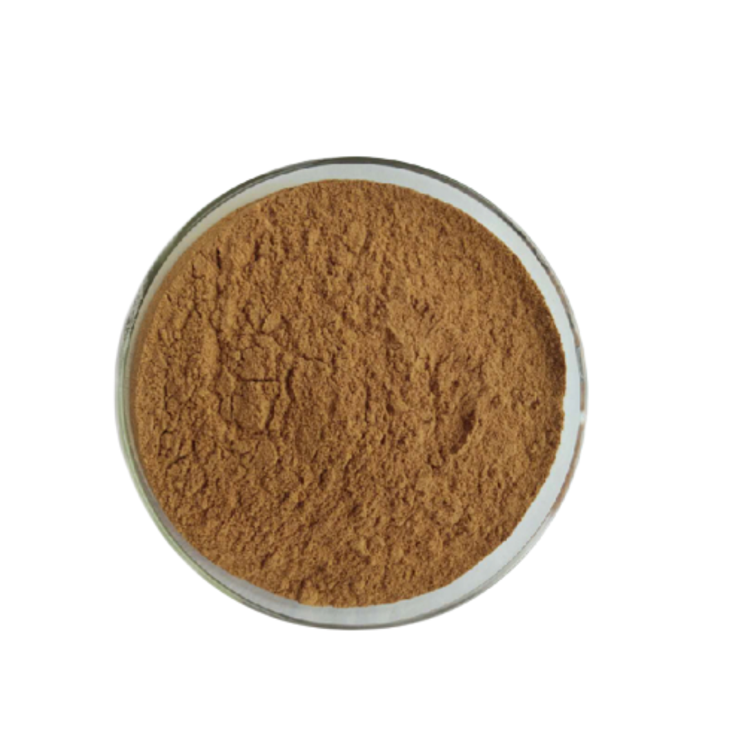 Buy Indian Ruharb Powder Online in India- The Art Connect