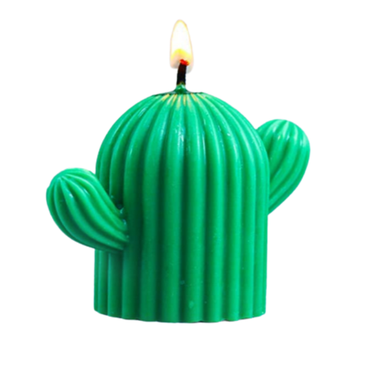 Small Cactus Candle Silicone Mould