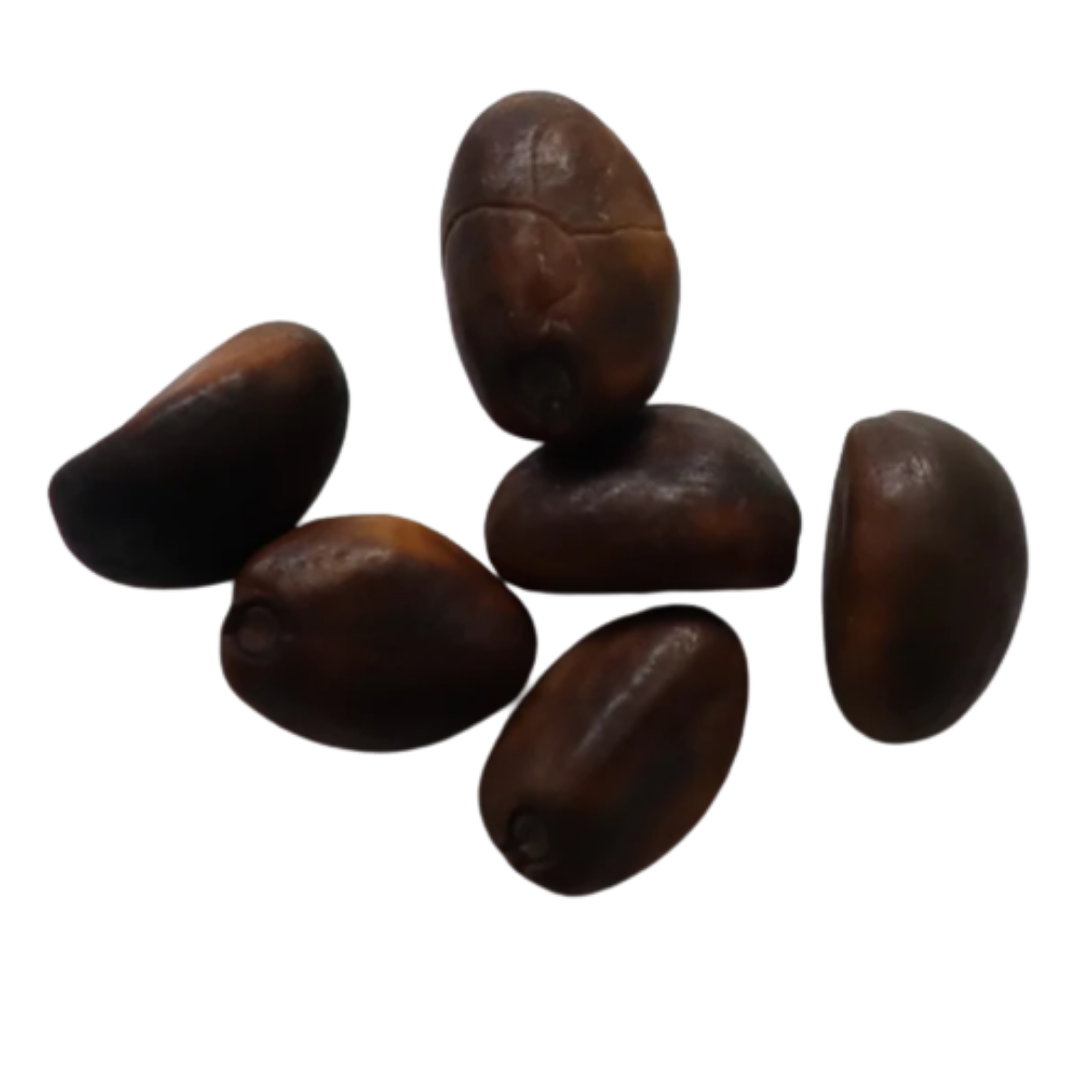 Organic, Non-Hybrid, Non-GMO, Open-Pollinated Clove Beans Seeds