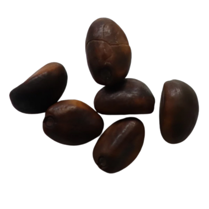 Organic, Non-Hybrid, Non-GMO, Open-Pollinated Clove Beans Seeds