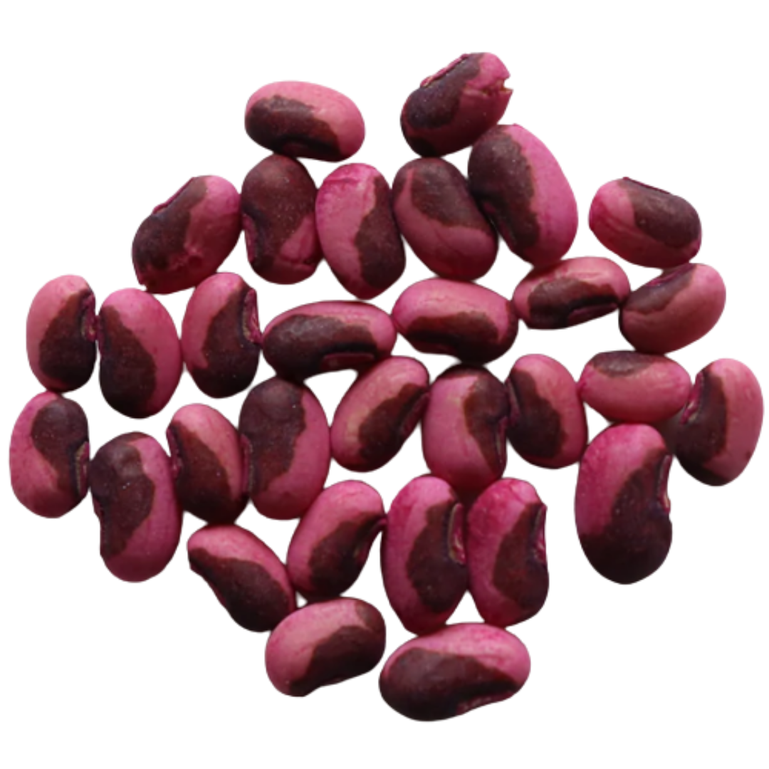 Organic, Non-Hybrid, Non-GMO, Open-Pollinated Cowpea Seeds