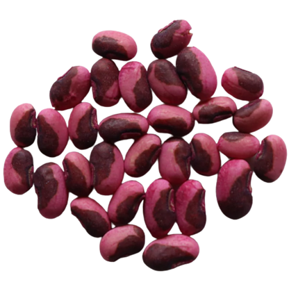 Organic, Non-Hybrid, Non-GMO, Open-Pollinated Cowpea Seeds